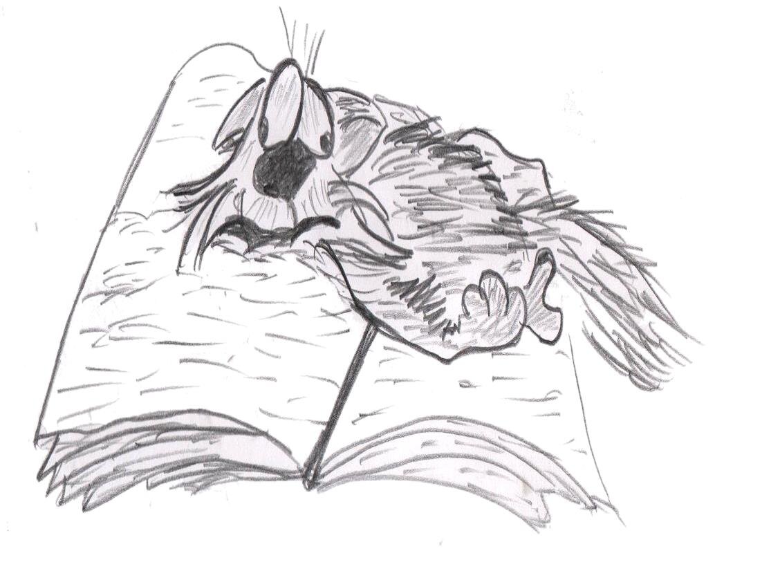 почти плюшка 