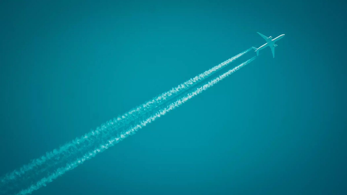 Фото: 1MI. Все прошло безопасно
