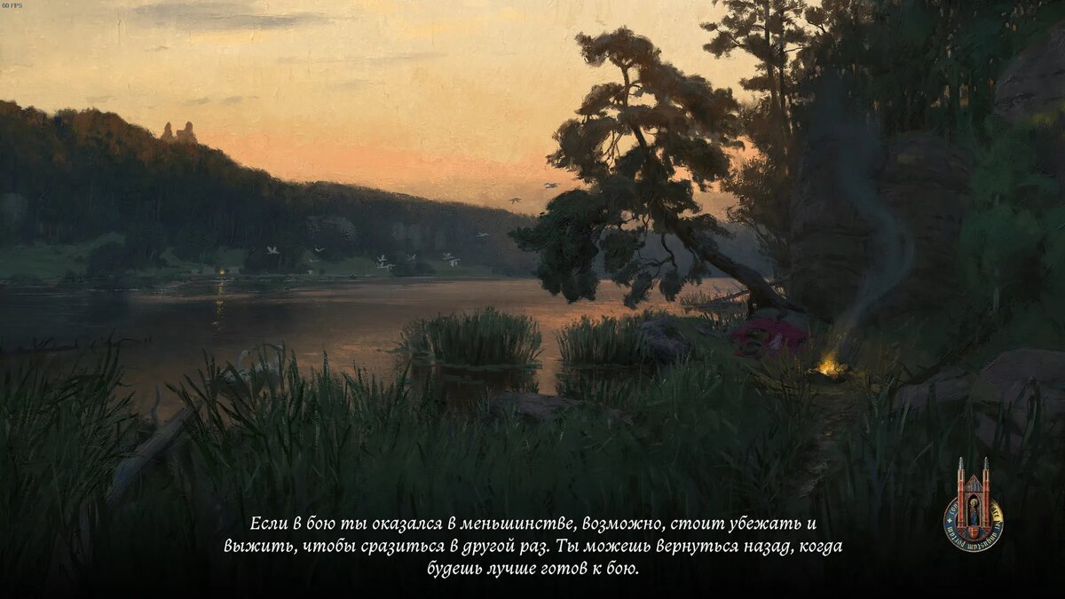 Добрый день розы красивые