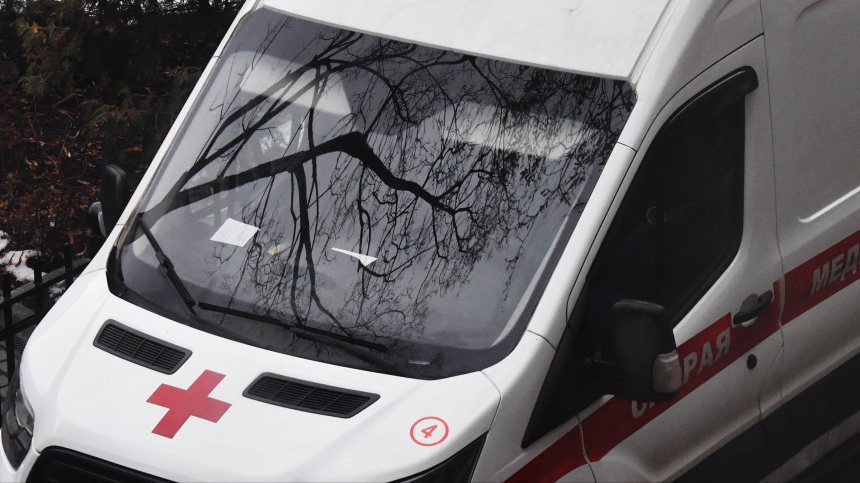    Фото: © РИА Новости/Наталья Селиверстова