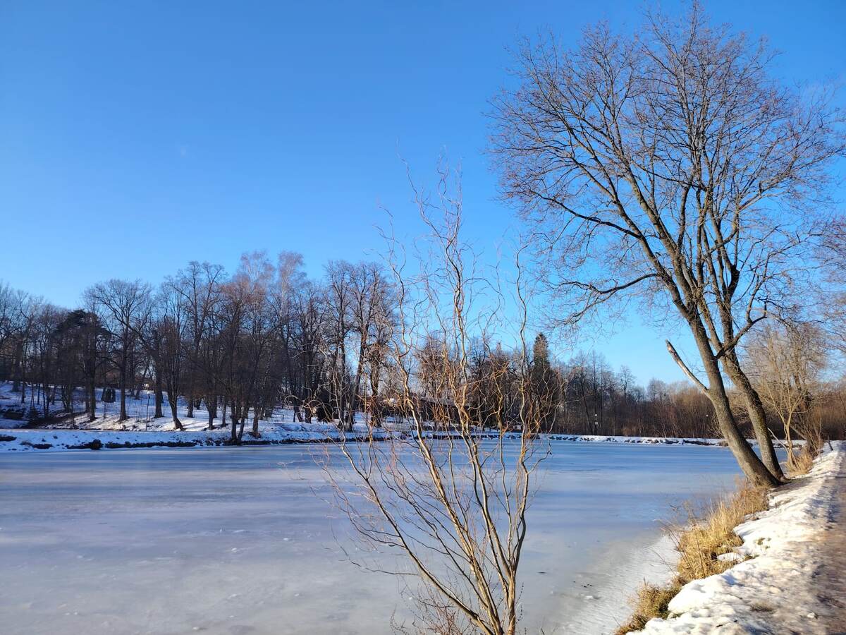 Хотя бы на пруду лёд есть)) 