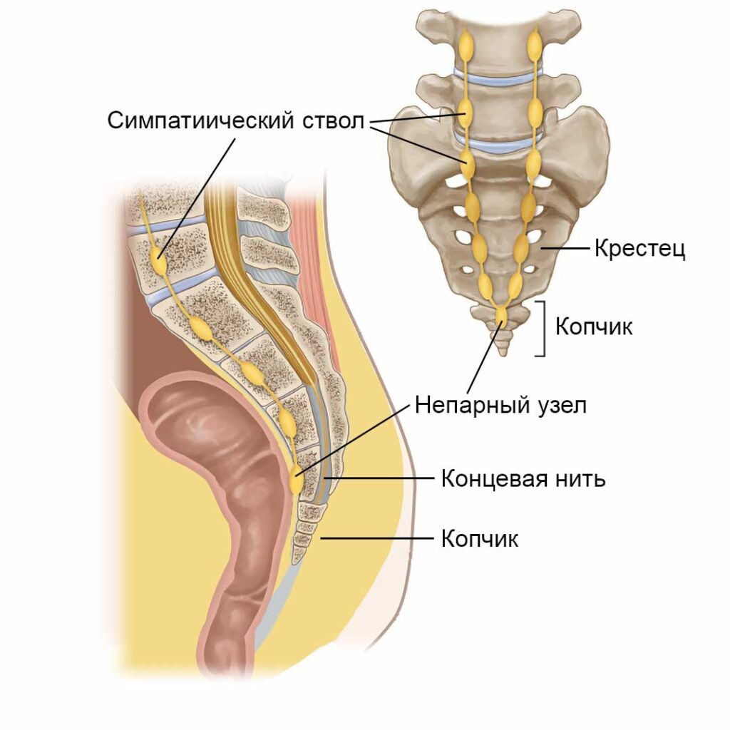 Область копчика