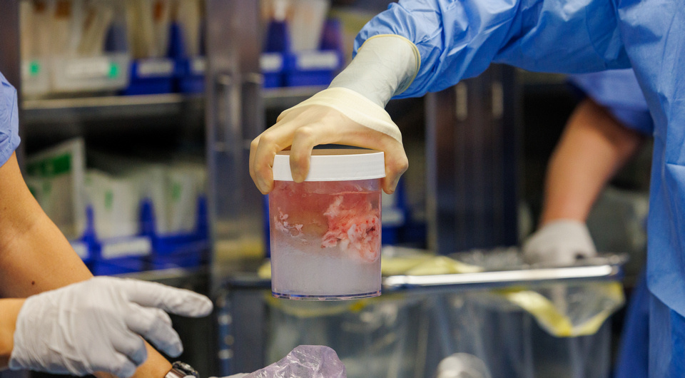   Kate Flock / Massachusetts General Hospital