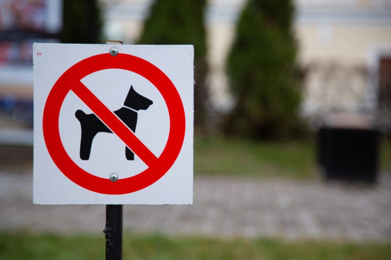    Фото: Общественная Служба Новостей Павел Лопатко