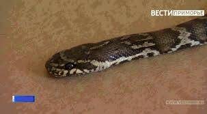    Источник фото: