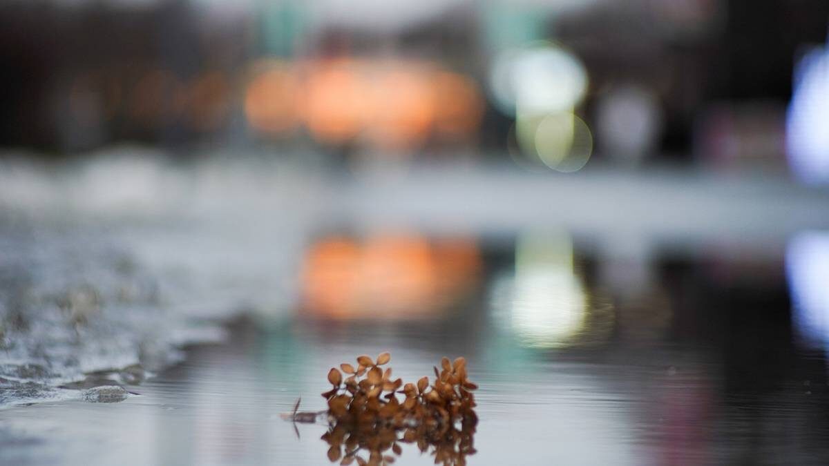    Фото: Александр Авилов / АГН Москва