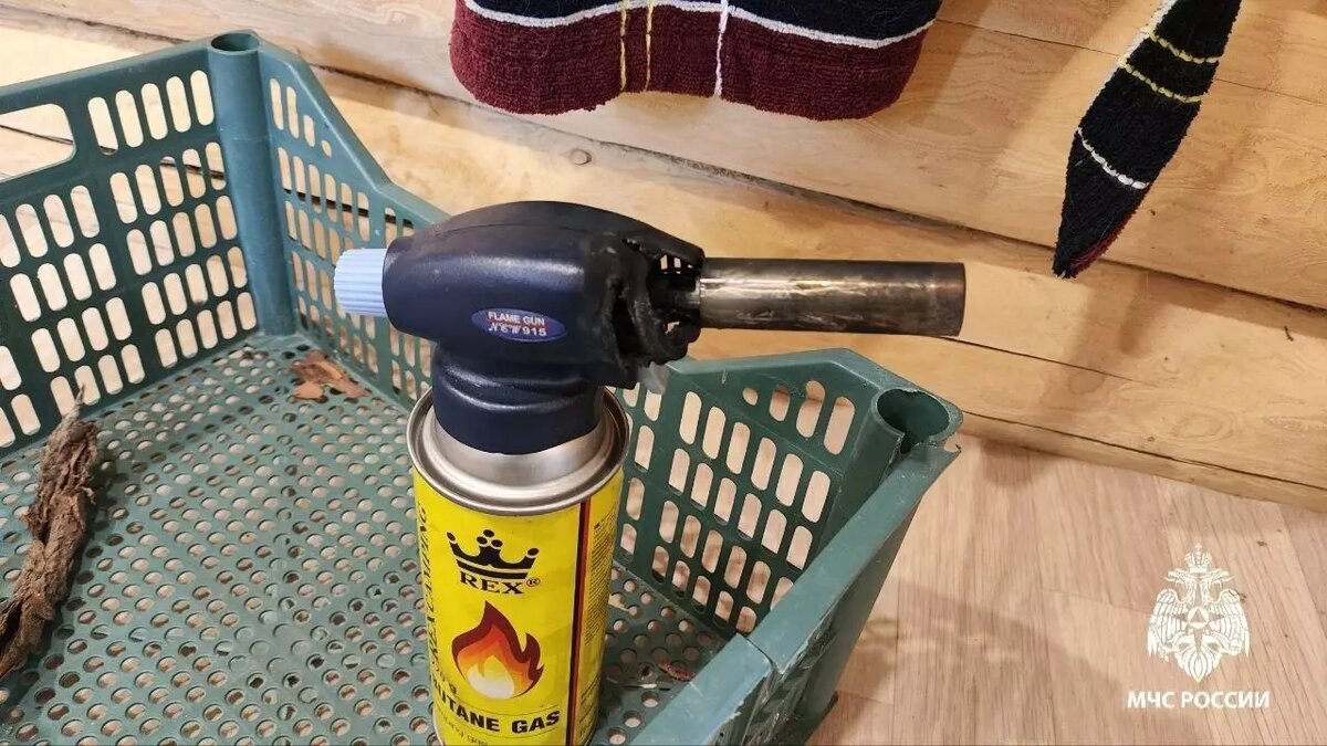     Источник: Пресс-служба МЧС по Удмуртии