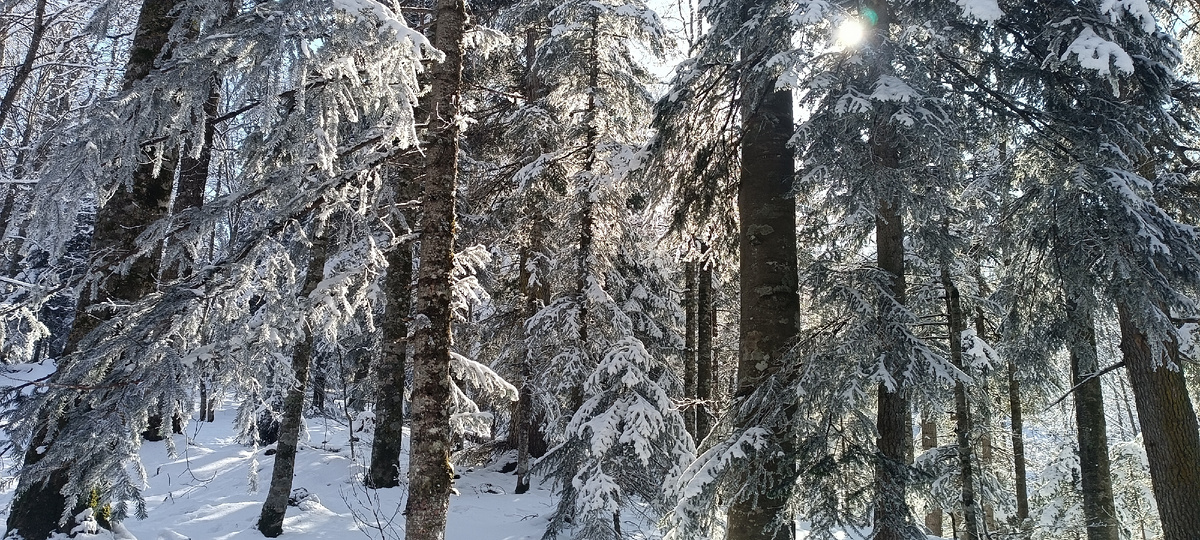 Ну какова красота!😍