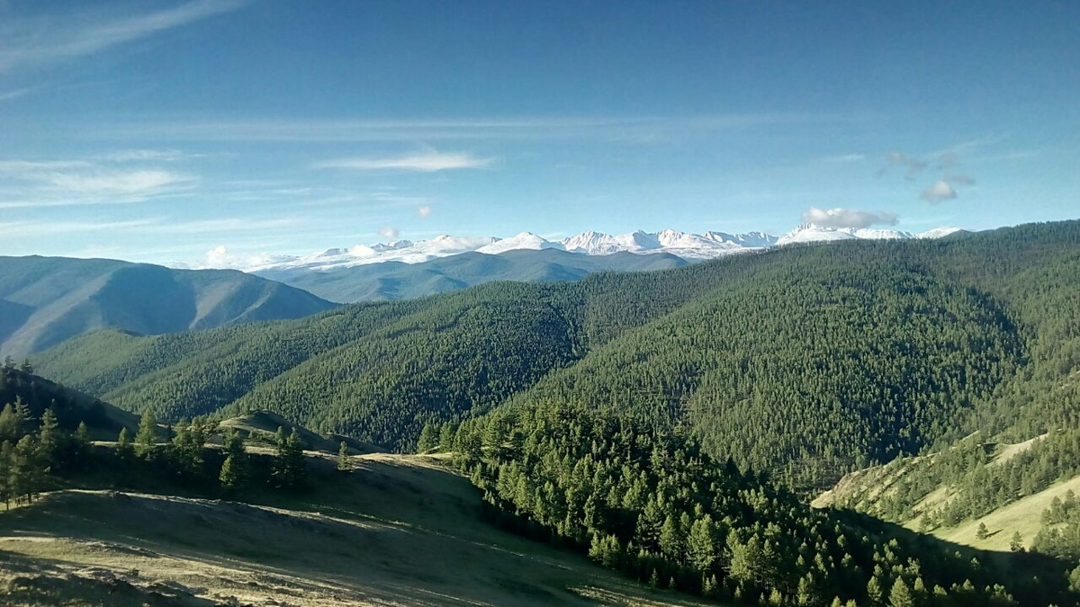 Текст: Ксения Яхнюк, фото: личный архив, открытые источники