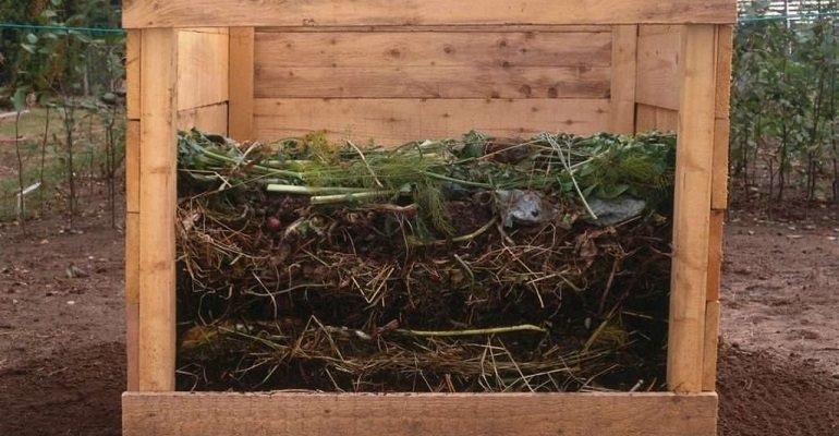Компостирование: как правильно создать и поддерживать компостную кучу