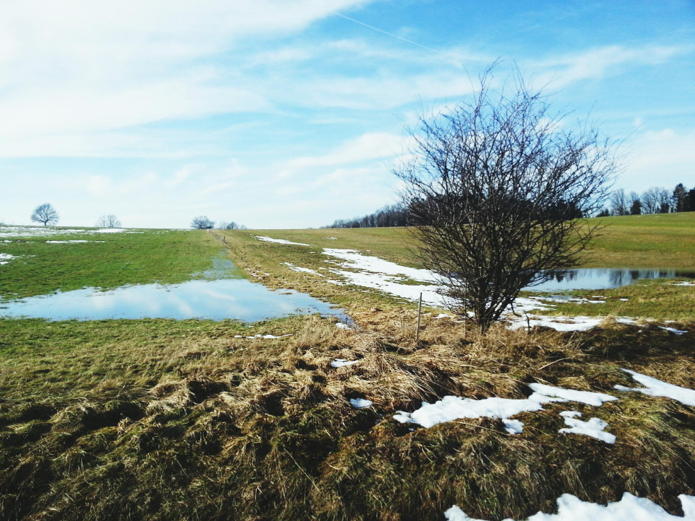 Затопление участка весной