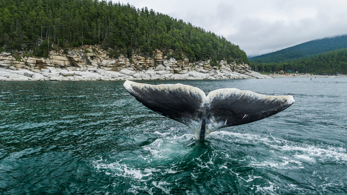 Фото: Михаил Коростелев