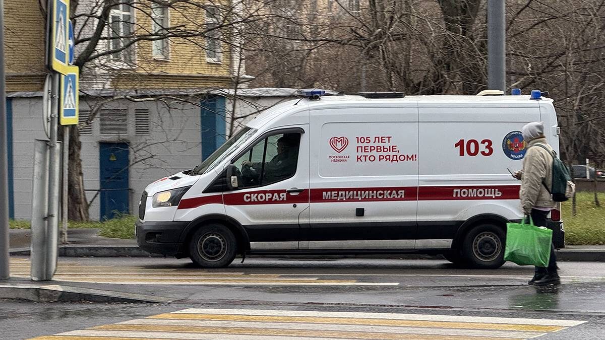    Фото: Андрей Прошин / Вечерняя Москва