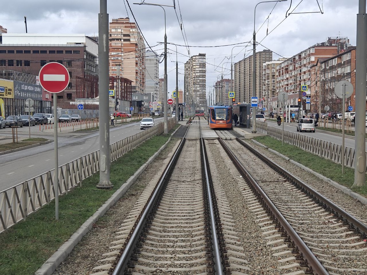    Фото: Юрий Серебренников/BFM Кубань