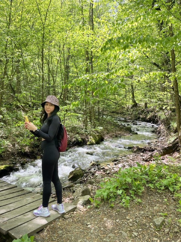 входим в лес