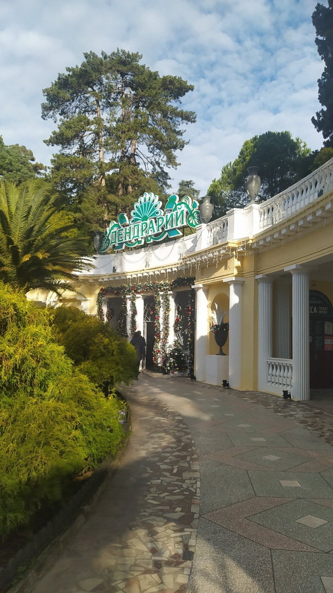 Дендрарий январь