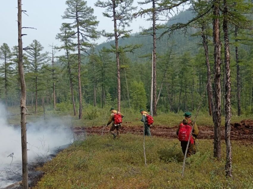    Фото: Пресс-служба Минприроды Забайкалья