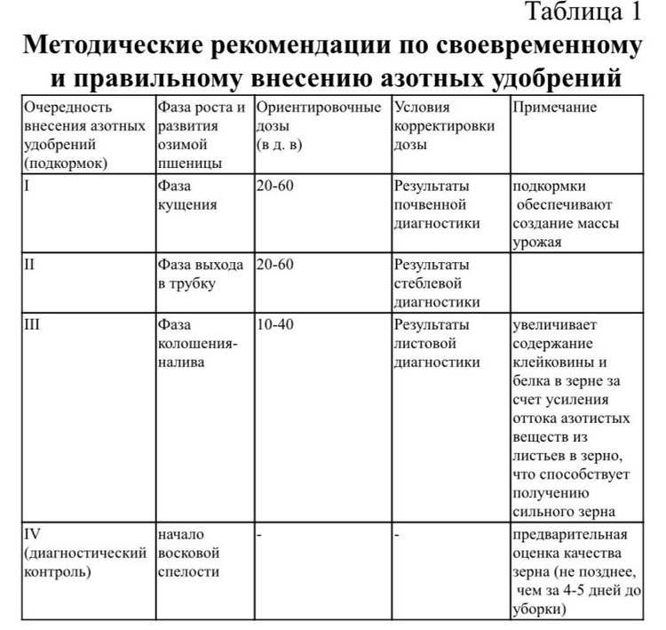     Озимая пшеница и азот: чек-лист по подкормке от экспертов
