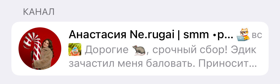 Дзен, телеграм, инст, ютуб - основные площадки