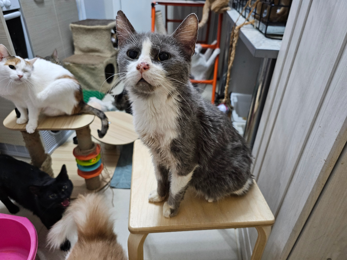 Фото автора. Дедуся.