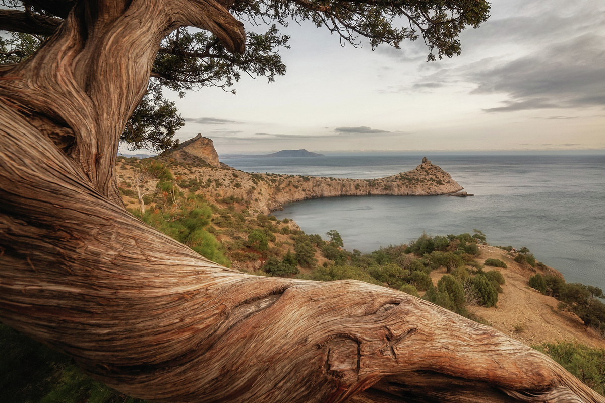 Фото участницы конкурса «Крым в моем сердце»-2024 Екатерины Дмитренко
Фотография предоставлена Екатериной Дмитренко