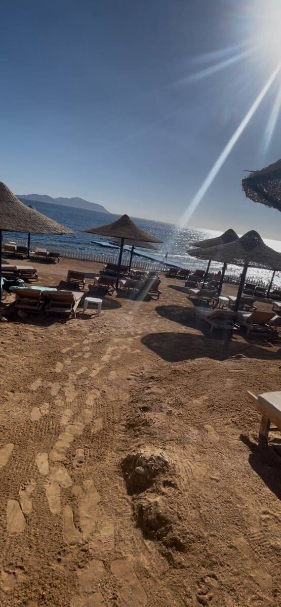 Все пляжи отеля V Hotel Sharm El Sheikh 5* в бухте Шаркс-Бей. (До реновации отель назывался Pyramisa Beach Resort Sharm El Sheikh 5*).