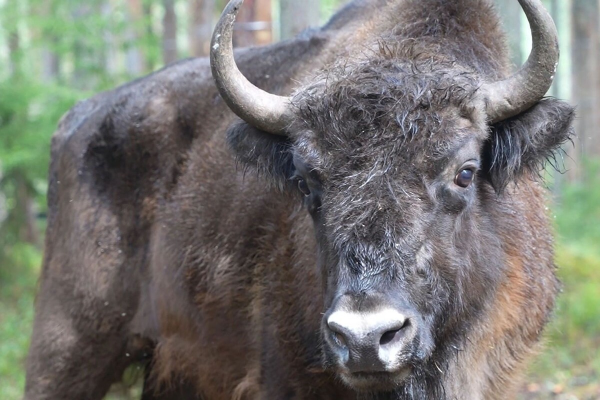    Московский зоопарк возглавил мировой рейтинг по числу представленных видов
