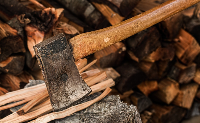    © Пресс-служба прокуратуры Ленобласти