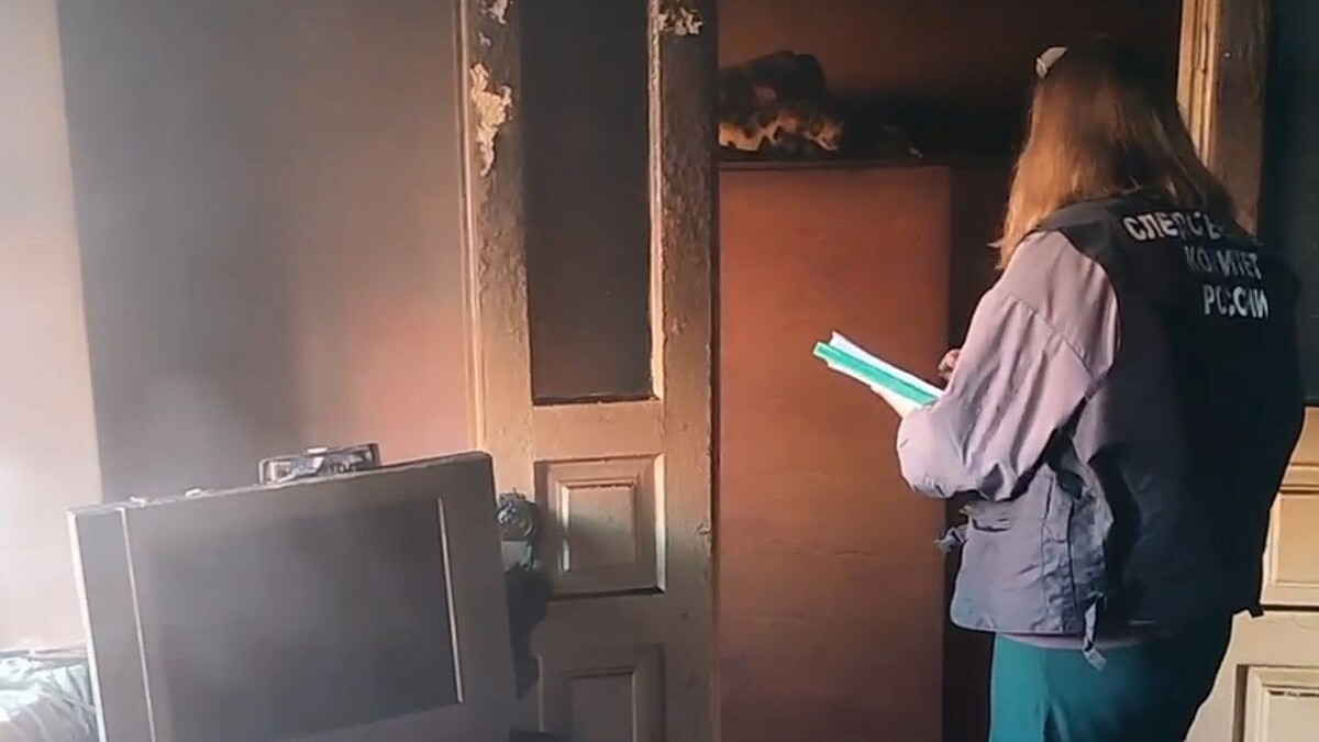    Фото: t.me/kubansledcom