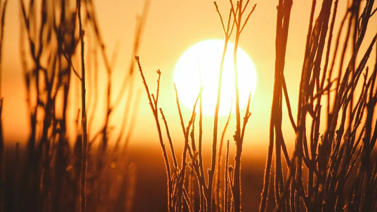     Автор: Unsplash