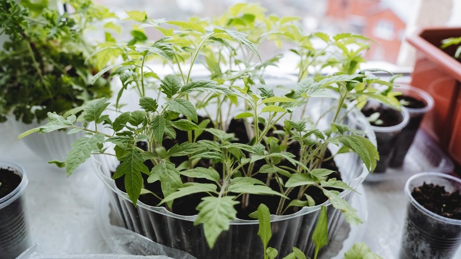 Источник: Vecteezy.com