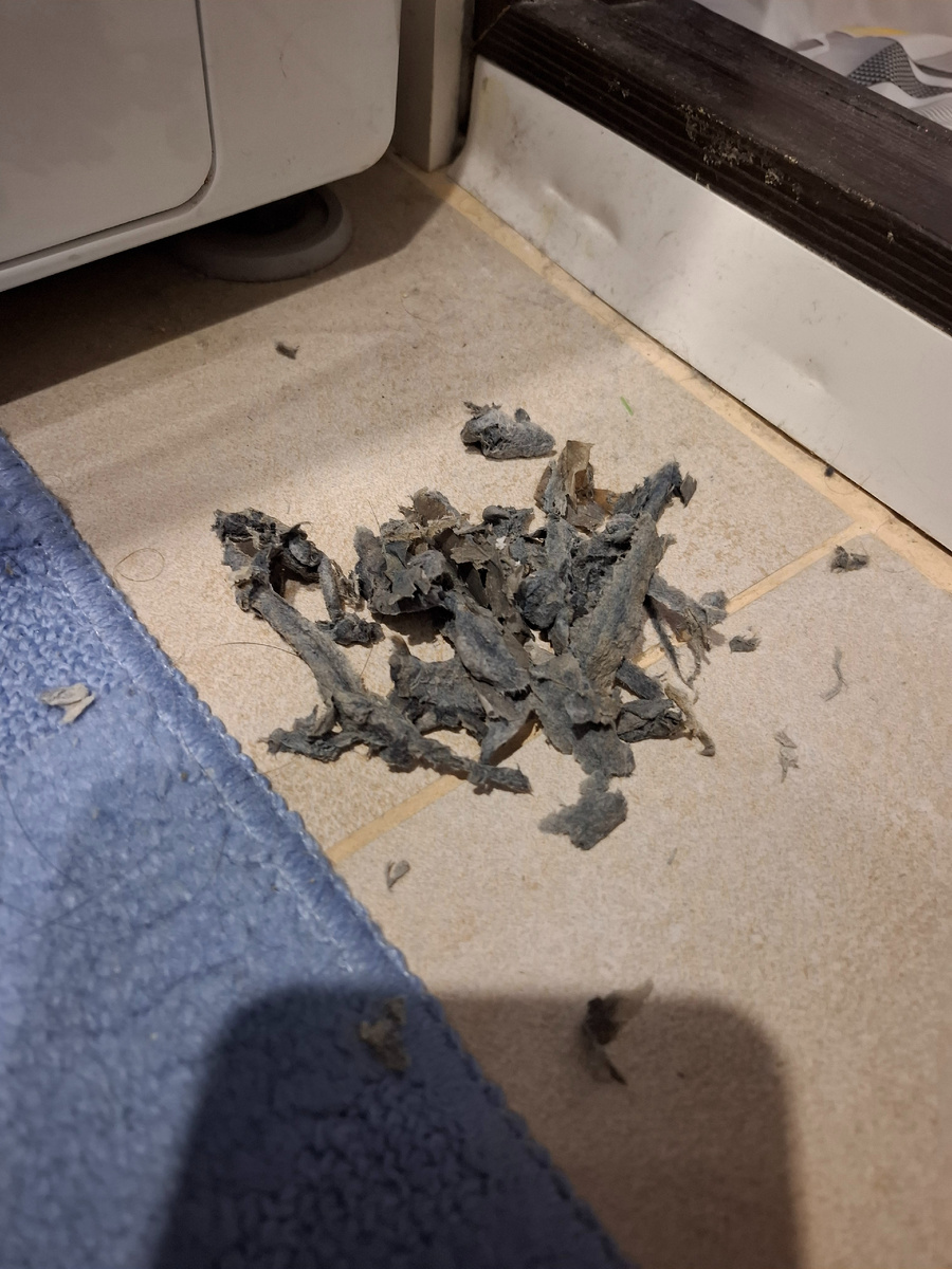 Кажется что не много, на самом деле очень много, полная моя ладонь. Вот такая жуть обитает в вашей стиральной машинке под резинками, если её плохо чистить🤦‍♀️