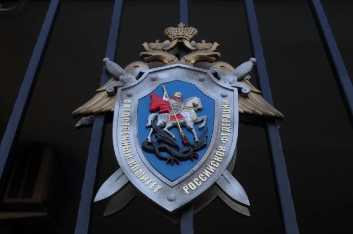    В Крыму заключен под стражу мужчина, задушивший свою мать