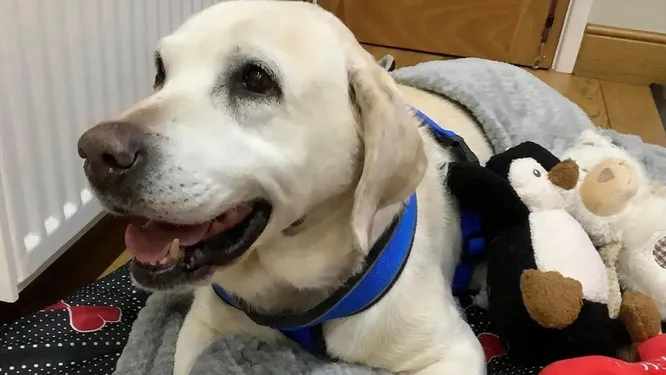 Фото: соцсети