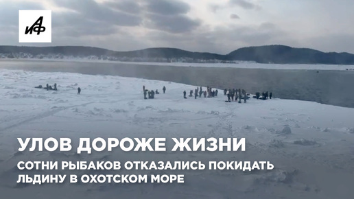 Юмор для поднятия настроения женщине