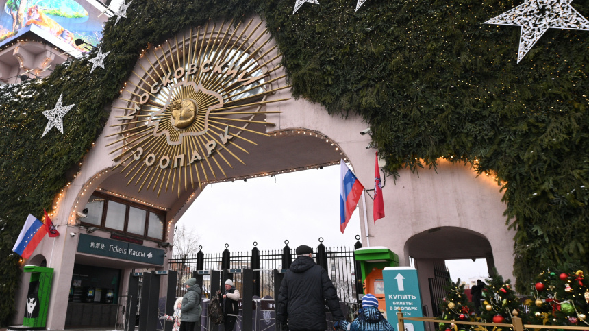    Фото: © РИА Новости/Кирилл Зыков