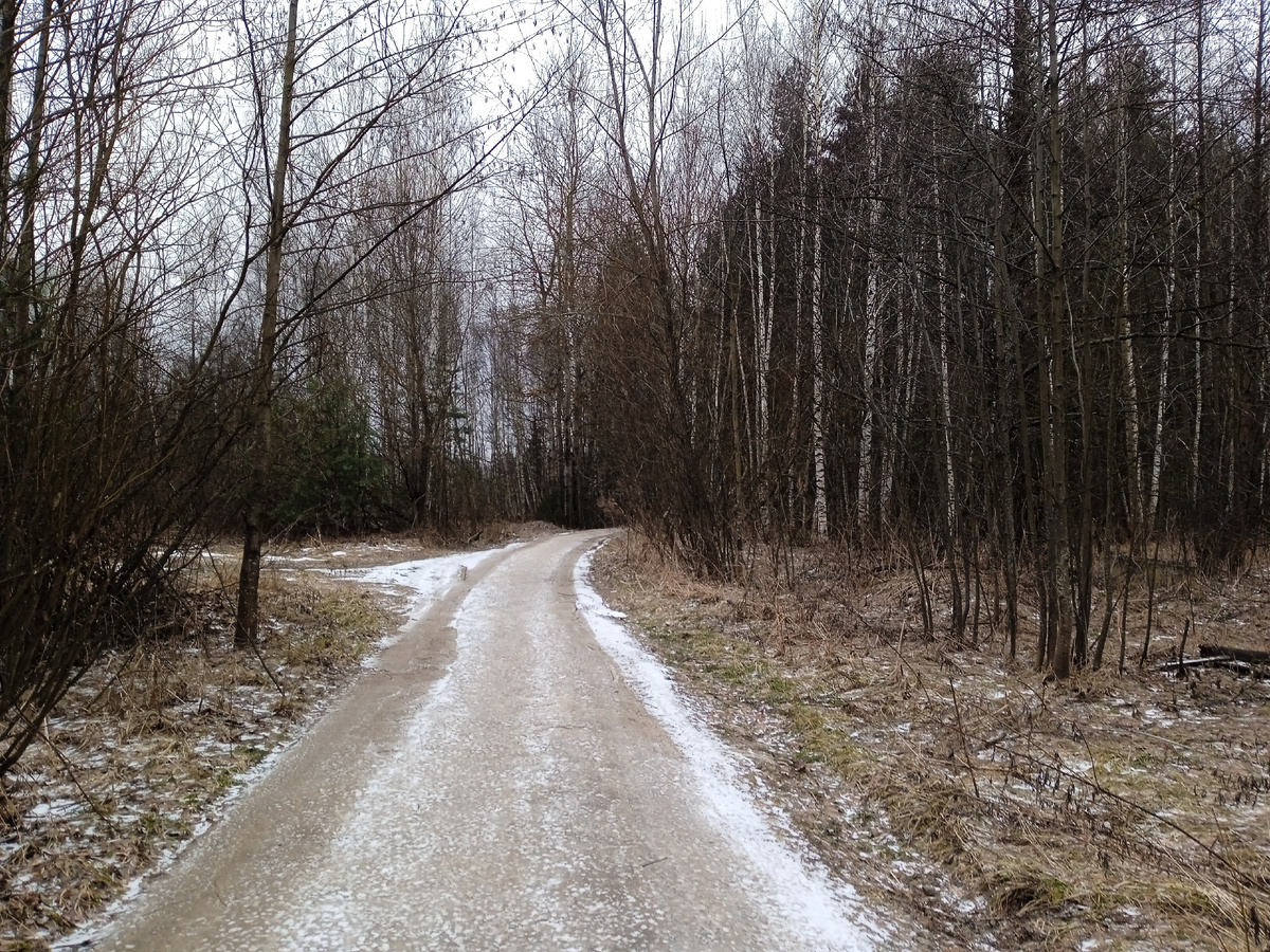 От платформы через лес да поляну ведет дорожка. Ночью, наверное, лучше брать фонарик: освещения на ней нет. Листайте галерею. 