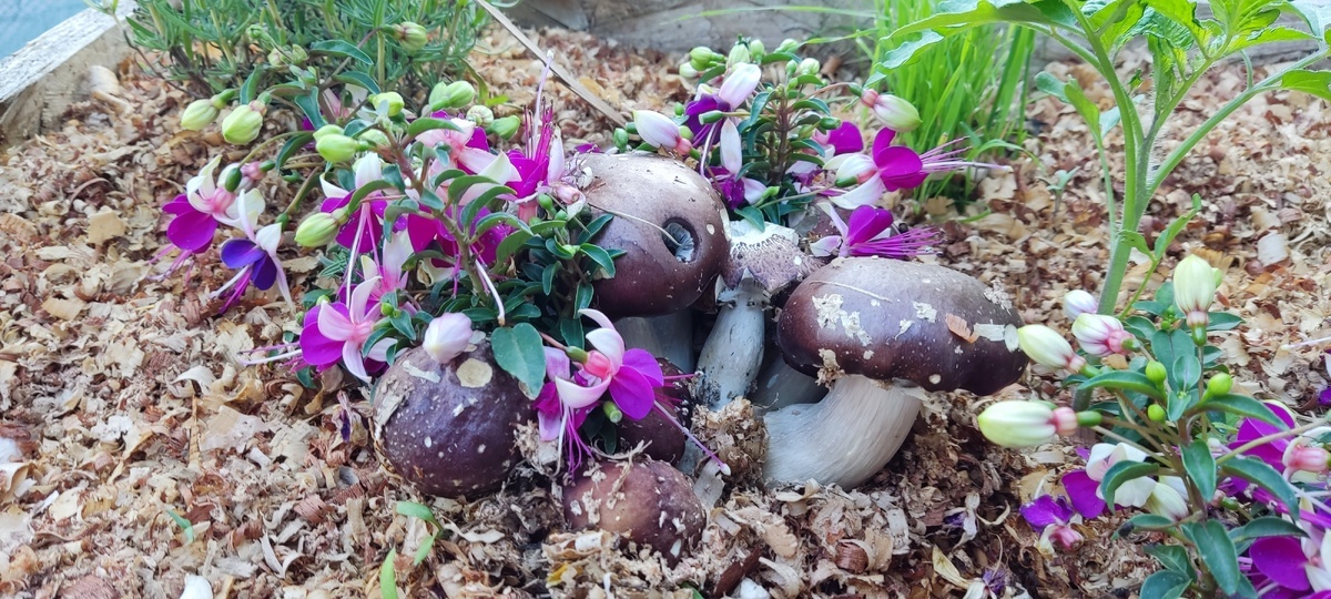 фото отDenis Lukasov