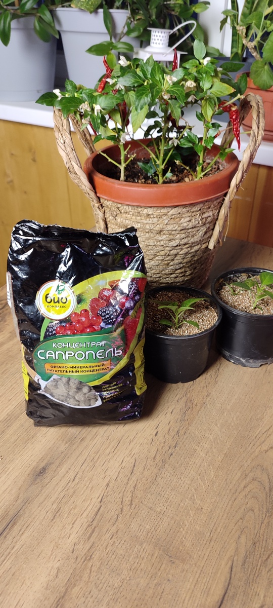 Сапропель, выпускается в гранулированном виде. 