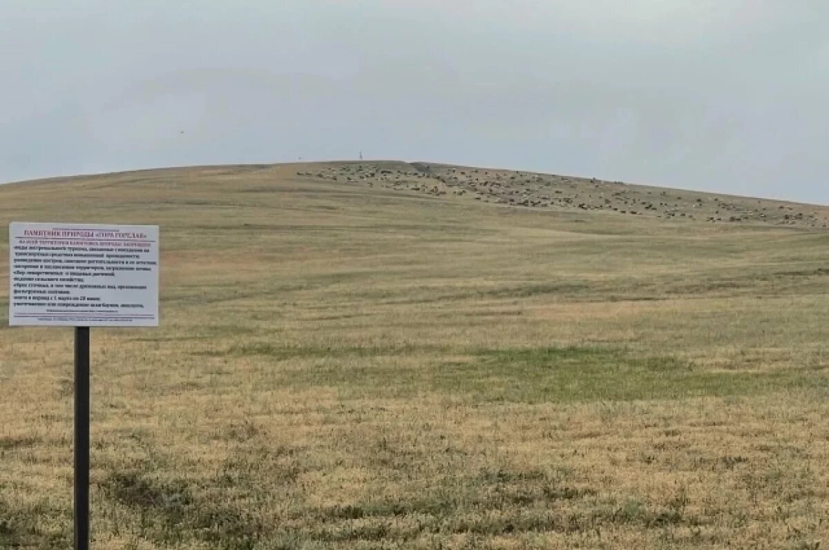    Суд затребовал экспертизу в деле о 55-миллионном ущербе природе Кубани