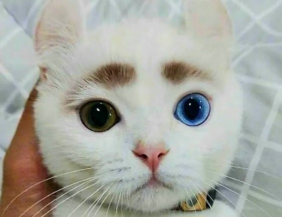 -13