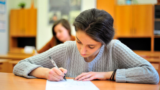    Госдума приняла в первом чтении проект о двух экзаменах вместо четырех после 9-го класса Ирина Петрова