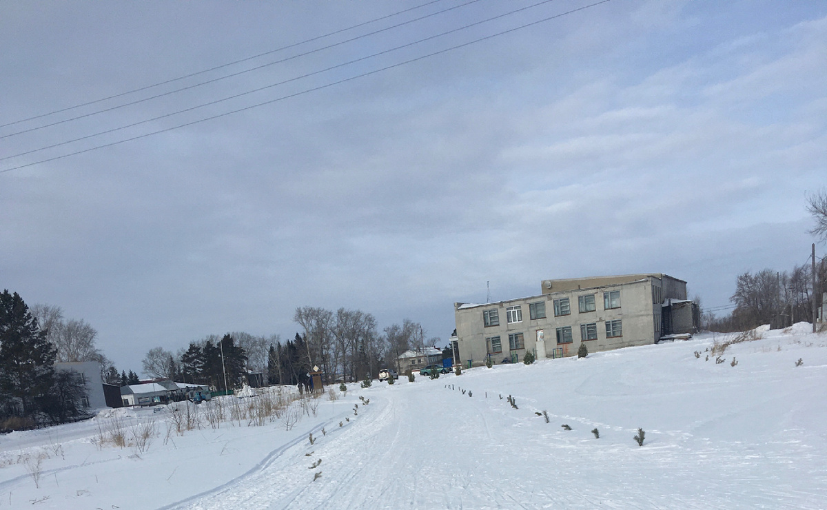 Имела ввиду те елки, что появились сразу большими ближе к зданию