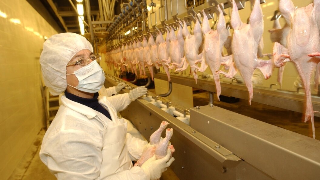    Фото: Aleksandr Schemlyaev/Russian Look/Globallookpress