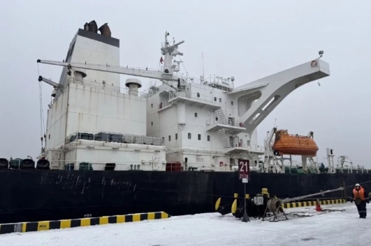    Водолазы работают в порту Усть-Луга с миноискателями