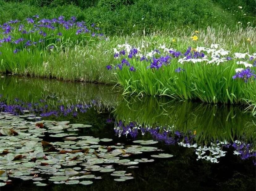 Фото из открытых источников