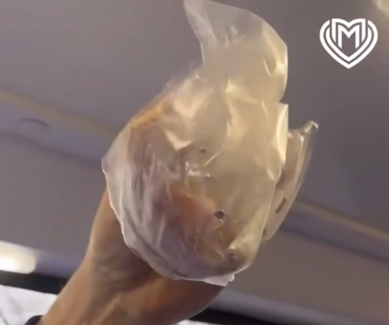 Купленные в пекарне пирожки