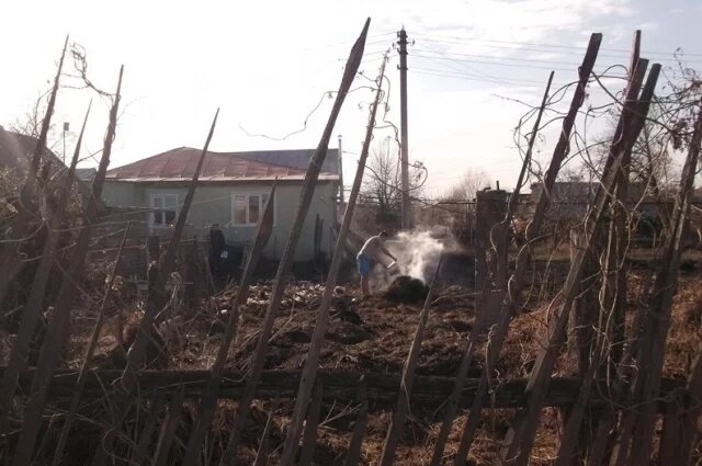    Можно ли в феврале выжечь траву на дачном участке?