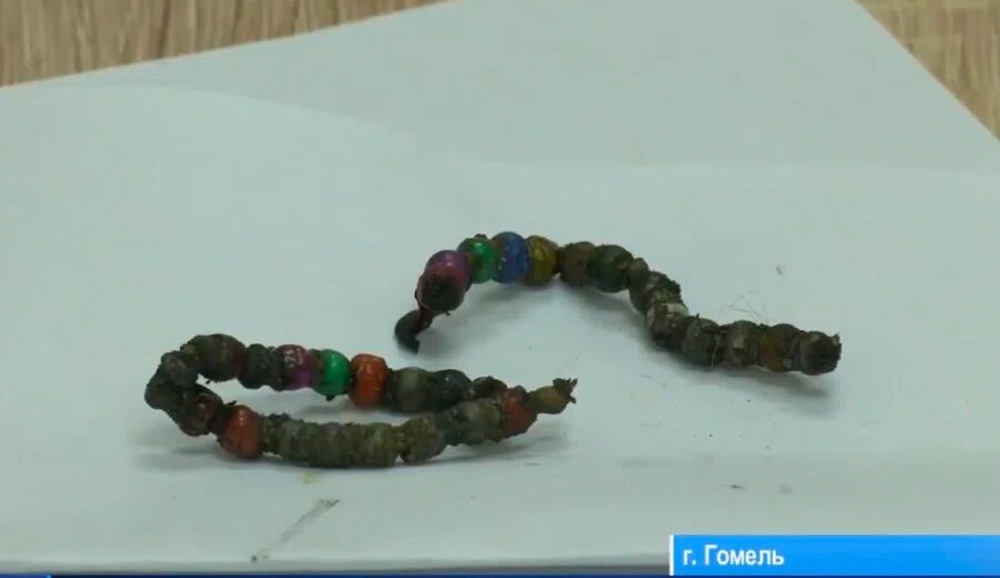    Скриншот: tvrgomel.by