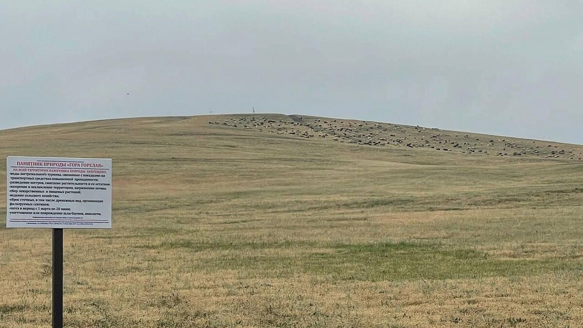    Фото: mpr.krasnodar.ru